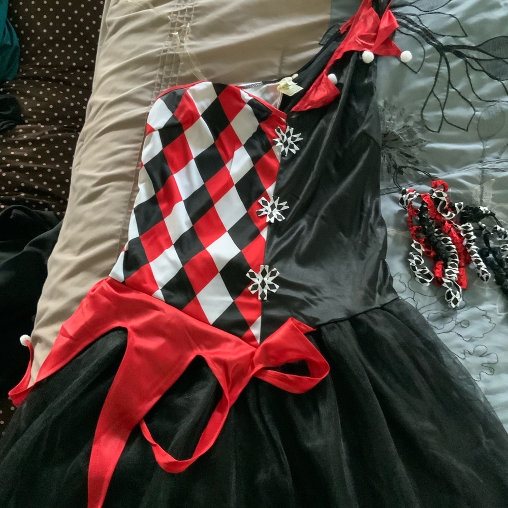 Harley Quinn Costume with two hair ties